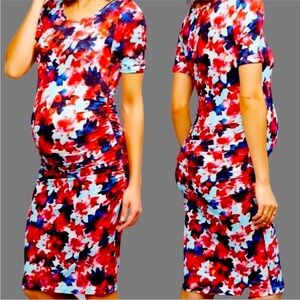 Isabella Oliver Maternity Dress